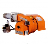 单段火燃气燃烧器（100-600kw）